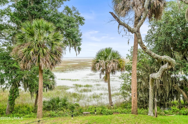 5953 Pleasant Farm Dr, Beaufort, SC 29906 - photo 72