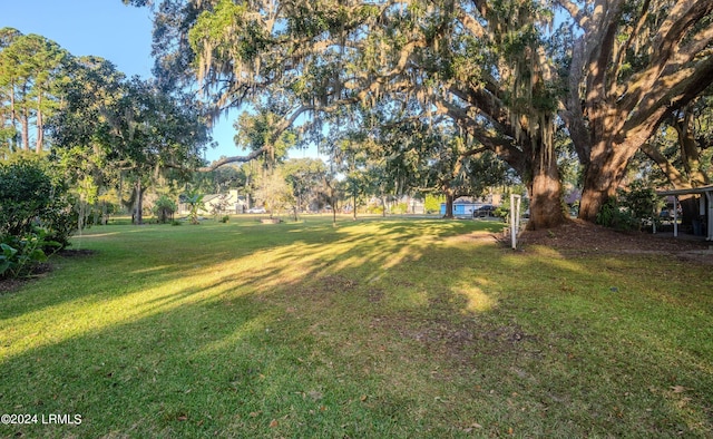 view of yard