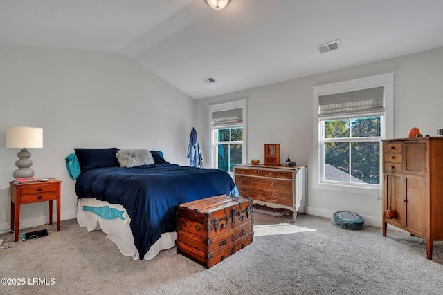 carpeted bedroom with multiple windows and lofted ceiling