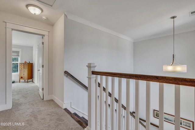 hallway featuring carpet