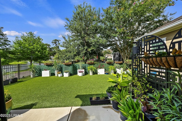 36 Independence Pl, Bluffton, SC 29910 - view of yard