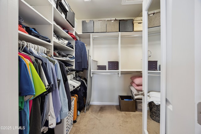 36 Independence Pl, Bluffton, SC 29910 - walk in closet featuring carpet flooring