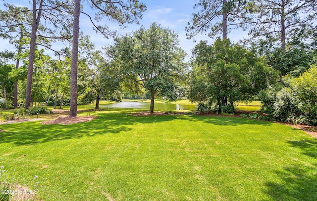 575 Distant Island Dr, Beaufort, SC 29907 - view of grassy yard featuring a water view and view of scattered trees