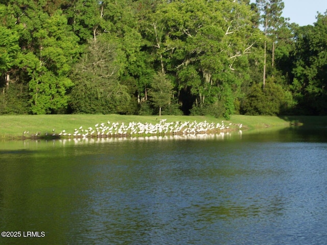 575 Distant Island Dr, Beaufort, SC 29907 - water view with a forest