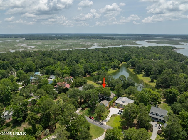 575 Distant Island Dr, Beaufort, SC 29907 - aerial view of a nearby body of water and a forest
