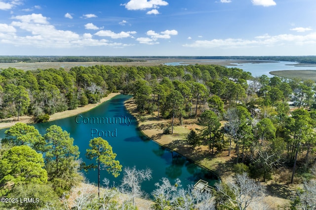 575 Distant Island Dr, Beaufort, SC 29907 - drone / aerial view of a large body of water and a heavily wooded area