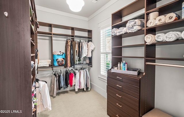 575 Distant Island Dr, Beaufort, SC 29907 - walk in closet featuring carpet flooring