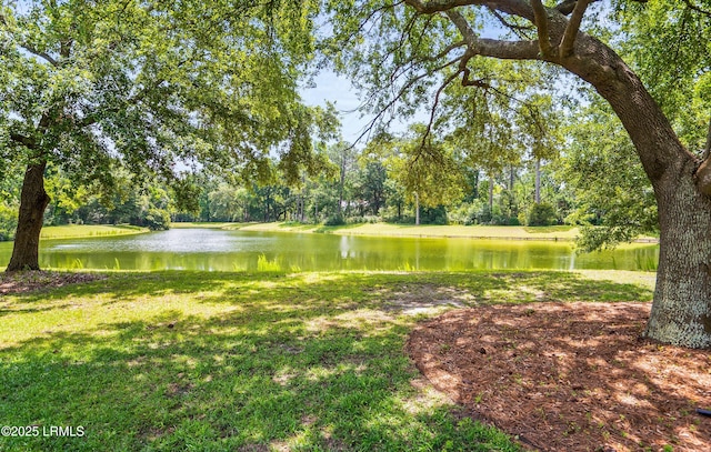 575 Distant Island Dr, Beaufort, SC 29907 - water view