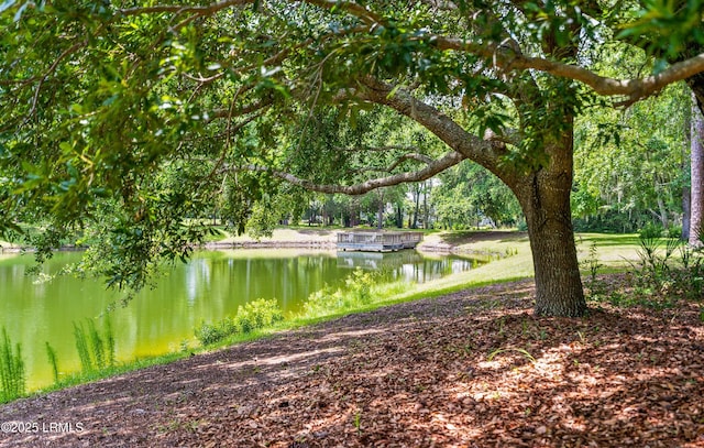 575 Distant Island Dr, Beaufort, SC 29907 - water view