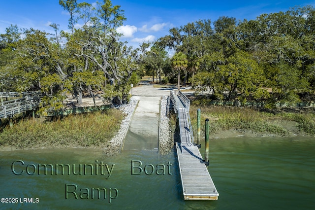 575 Distant Island Dr, Beaufort, SC 29907 - dock area featuring view of scattered trees and a water view