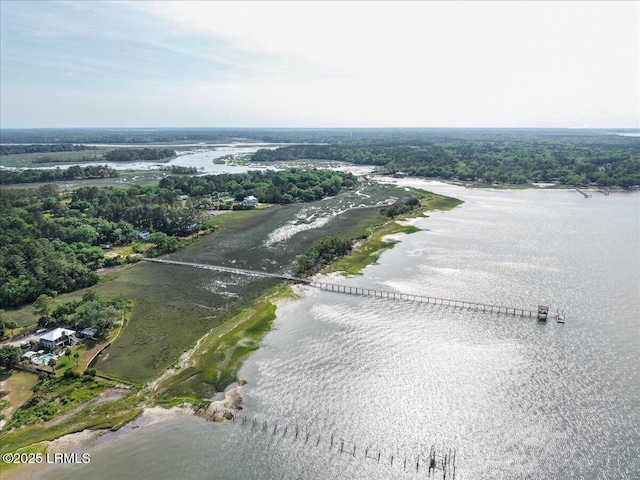 85 Coosaw River Dr, Beaufort, SC 29907 - photo 5
