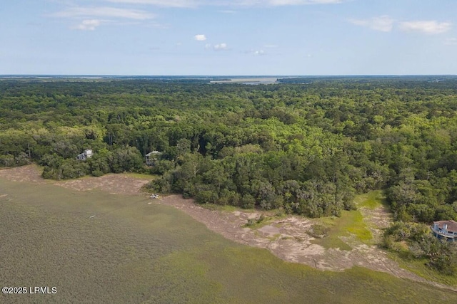 10 Quiet Cove Way, Beaufort, SC 29907