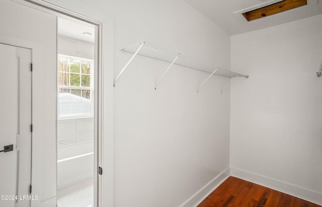 spacious closet with dark wood-type flooring