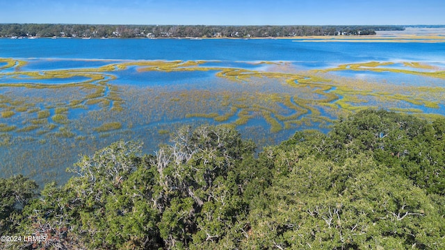 property view of water