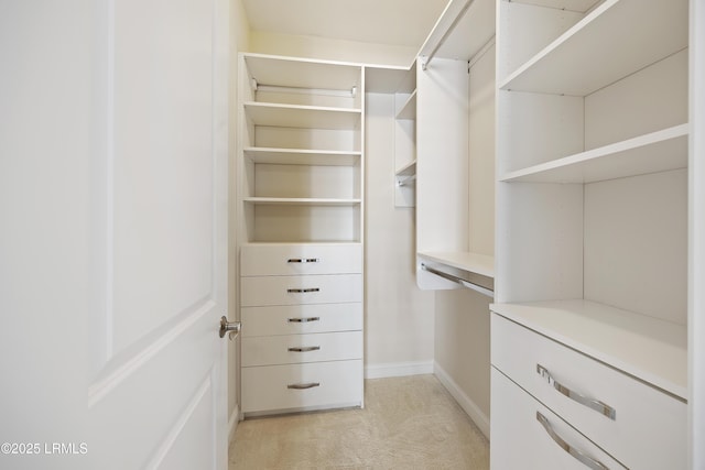 walk in closet with light carpet