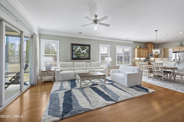 living room with ornamental molding, ceiling fan with notable chandelier, and light hardwood / wood-style flooring