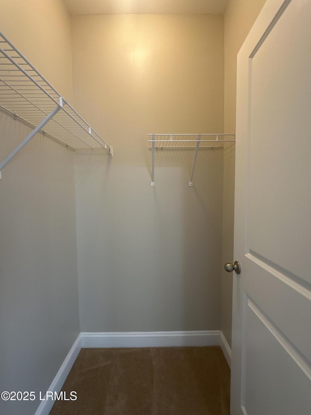 3582 Pearl Tabby Dr, Beaufort, SC 29907 - photo 33