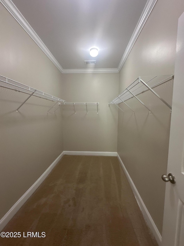 3582 Pearl Tabby Dr, Beaufort, SC 29907 - photo 25