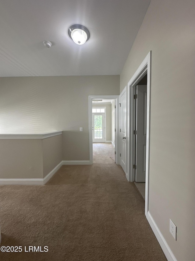 3582 Pearl Tabby Dr, Beaufort, SC 29907 - photo 37