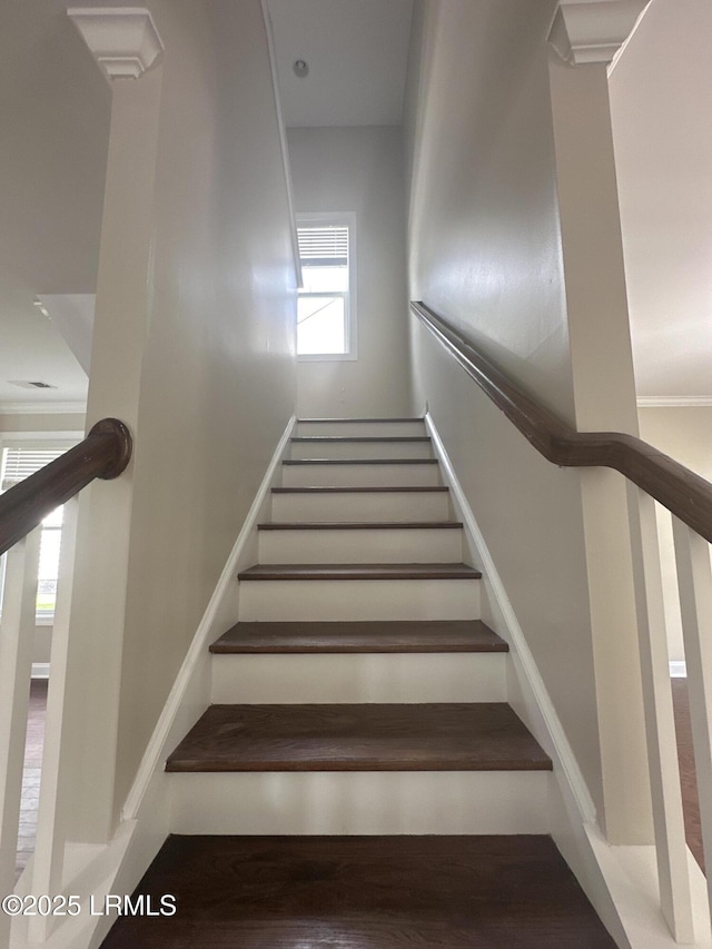 3582 Pearl Tabby Dr, Beaufort, SC 29907 - photo 17