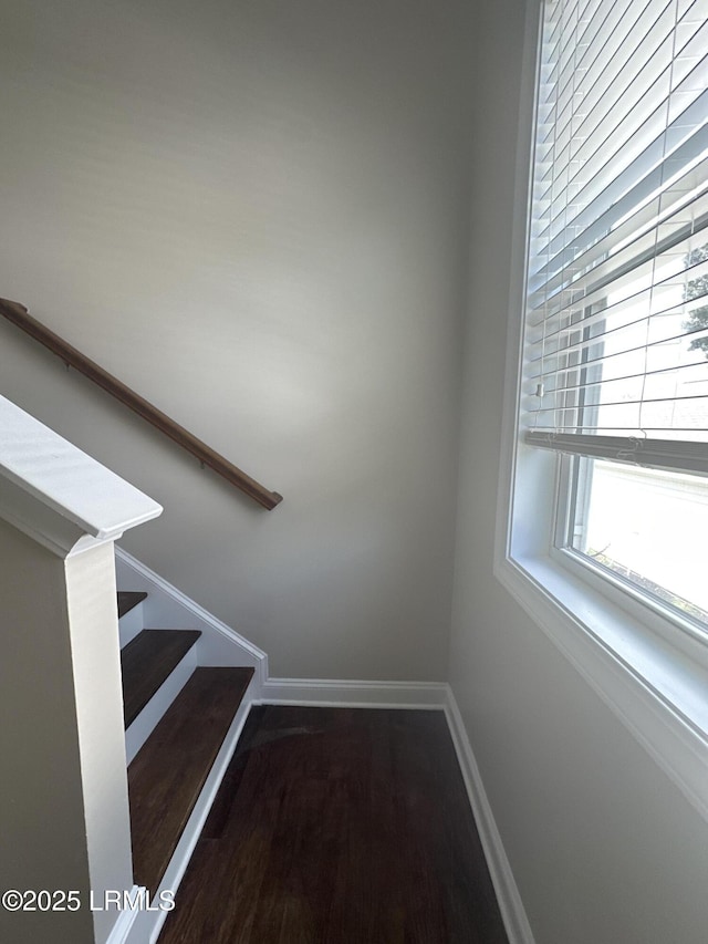 3582 Pearl Tabby Dr, Beaufort, SC 29907 - photo 18