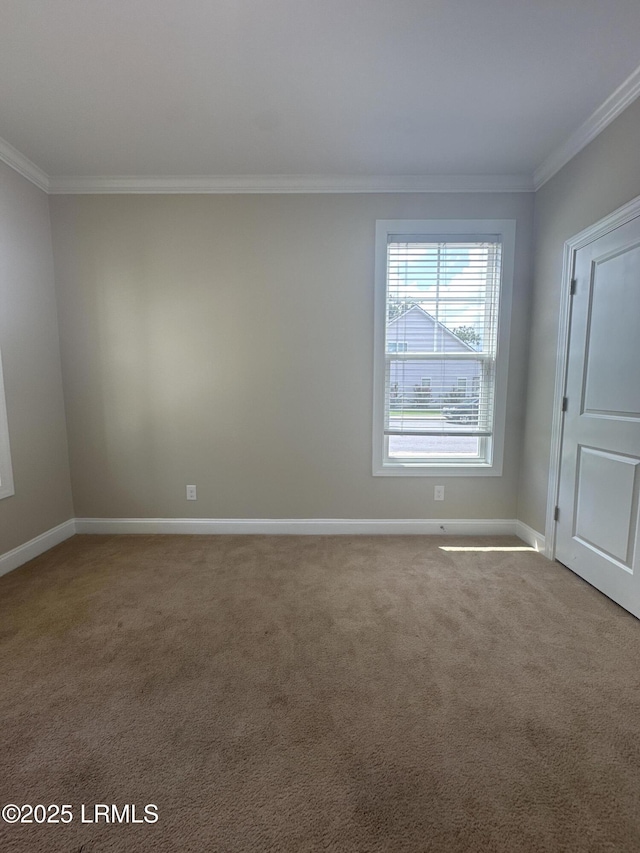 3582 Pearl Tabby Dr, Beaufort, SC 29907 - photo 9