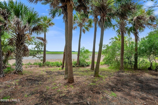 56 Royal Pointe Dr, Hilton Head Island, SC 29926 - photo 41