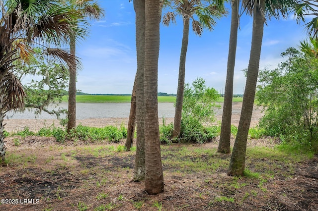56 Royal Pointe Dr, Hilton Head Island, SC 29926 - photo 42