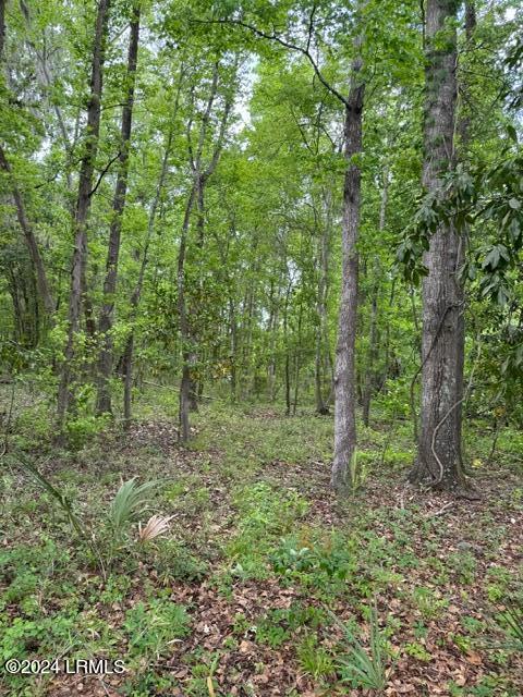 335 Charleston Hwy, Yemassee, SC 29945 - photo 3