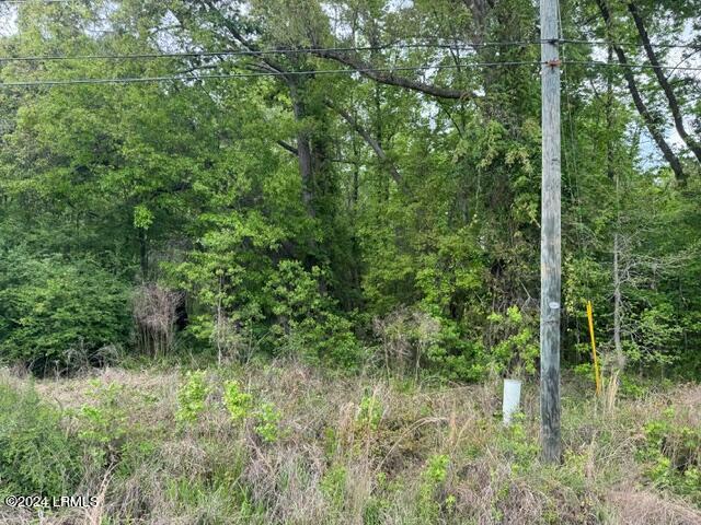 335 Charleston Hwy, Yemassee, SC 29945 - photo 2