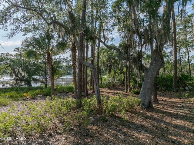 418 Islands Ave, Beaufort, SC 29902 - photo 16
