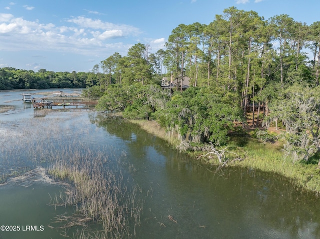 418 Islands Ave, Beaufort, SC 29902 - photo 13