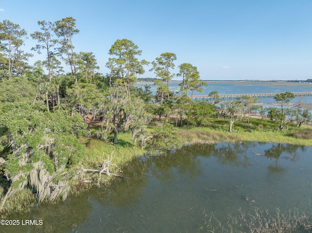 418 Islands Ave, Beaufort, SC 29902 - photo 12