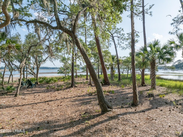 418 Islands Ave, Beaufort, SC 29902 - photo 3