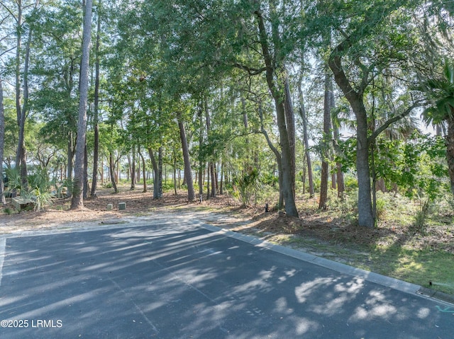 418 Islands Ave, Beaufort, SC 29902 - photo 2