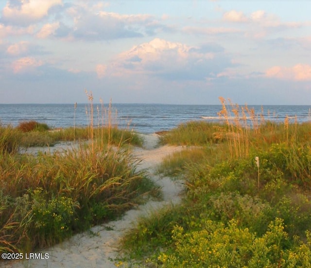 5 Cedar Reef Dr Unit D213, Harbor Island, SC 29920 - photo 3