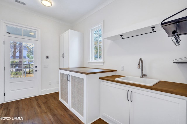 interior space featuring ornamental molding, dark hardwood / wood-style floors, and sink