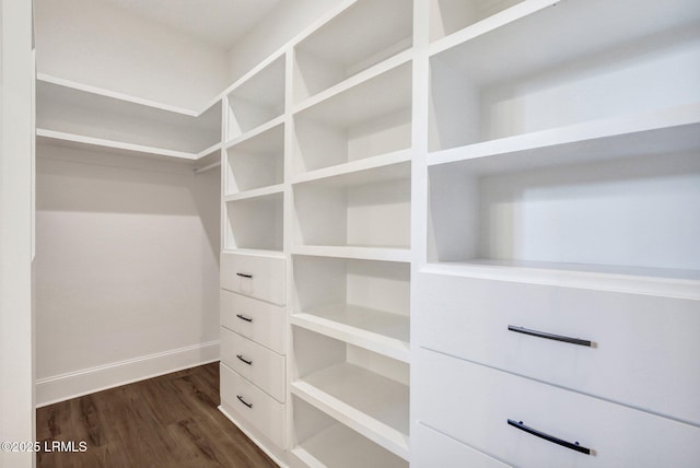 walk in closet with dark hardwood / wood-style floors