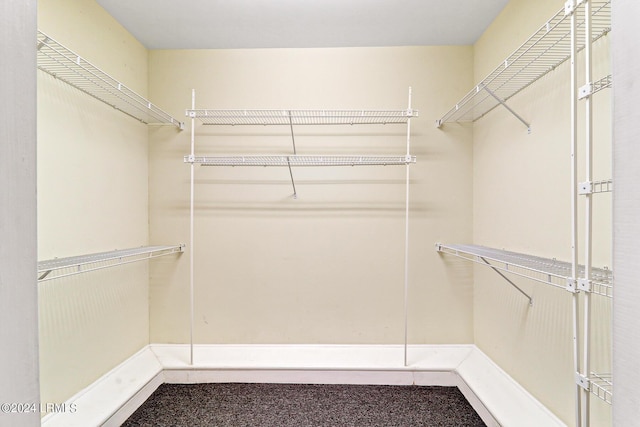 view of walk in closet