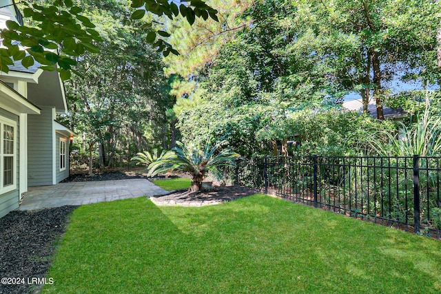 view of yard with a patio area