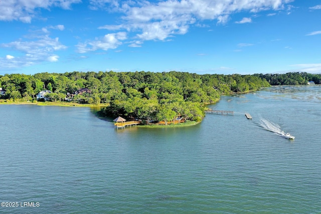 239 Club Gate Dr, Bluffton, SC 29910 - photo 41