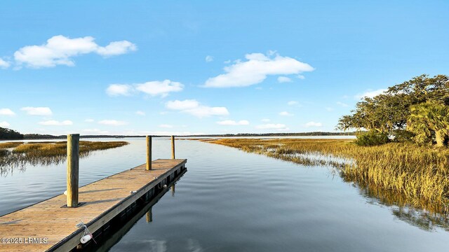 239 Club Gate Dr, Bluffton, SC 29910 - photo 46