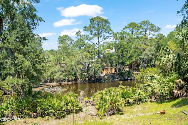 905 Gull Cv, Fripp Island, SC 29920 - water view