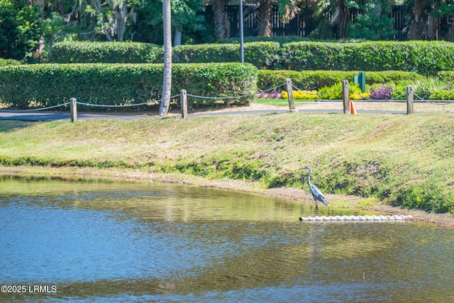 view of community featuring a water view