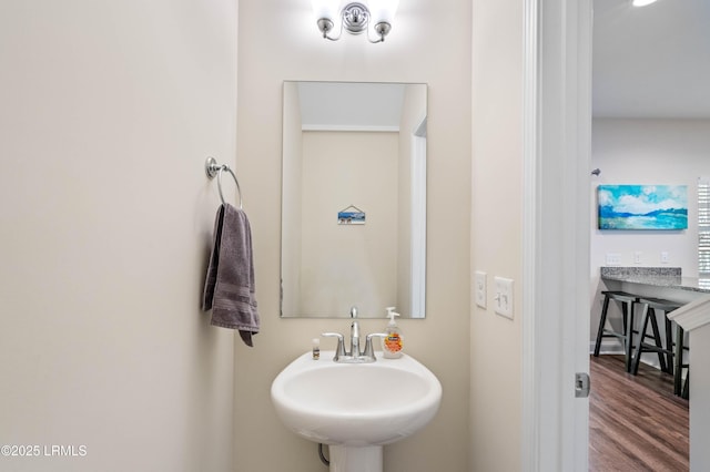 bathroom with wood finished floors and a sink