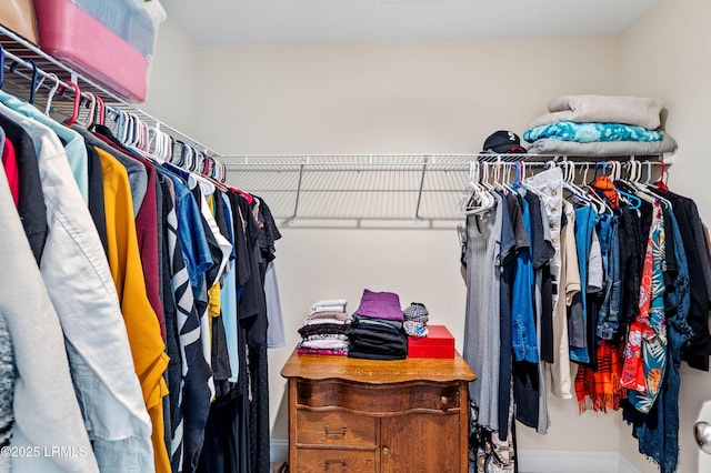 view of spacious closet