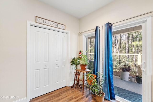 interior space with baseboards and wood finished floors