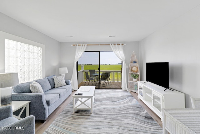 living room featuring hardwood / wood-style flooring