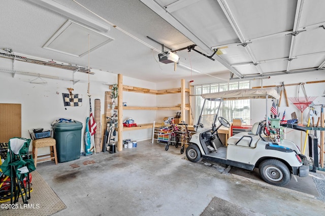 4 Moultrie Ct, Beaufort, SC 29907 - garage with a garage door opener