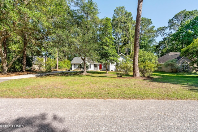 4 Moultrie Ct, Beaufort, SC 29907 - view of property hidden behind natural elements featuring a front lawn and driveway